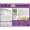  ZooRing Mini Lamb Rice      20    -      