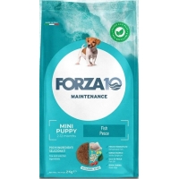  Forza10 Puppy Mini Fish Pesce   2