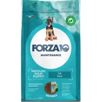  Forza10 Puppy Medium Maxi Fish Pesce   12