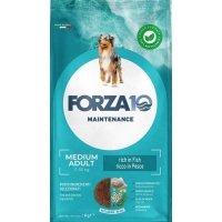  Forza10 Adult Medium Fish Pesce   12