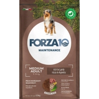  Forza10 Adult Medium Lamb Rice Agnello Riso    12