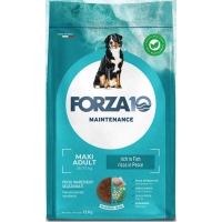  Forza10 Adult Maxi Fish Pesce   12