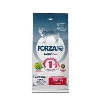  Forza10 Diet Medium Maxi MonoP Adu SensDig Pesce DRY   10  