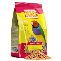  RIO    1