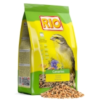  RIO     1